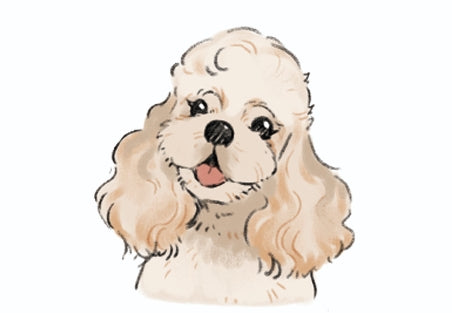 FULL GROOMING Appointment